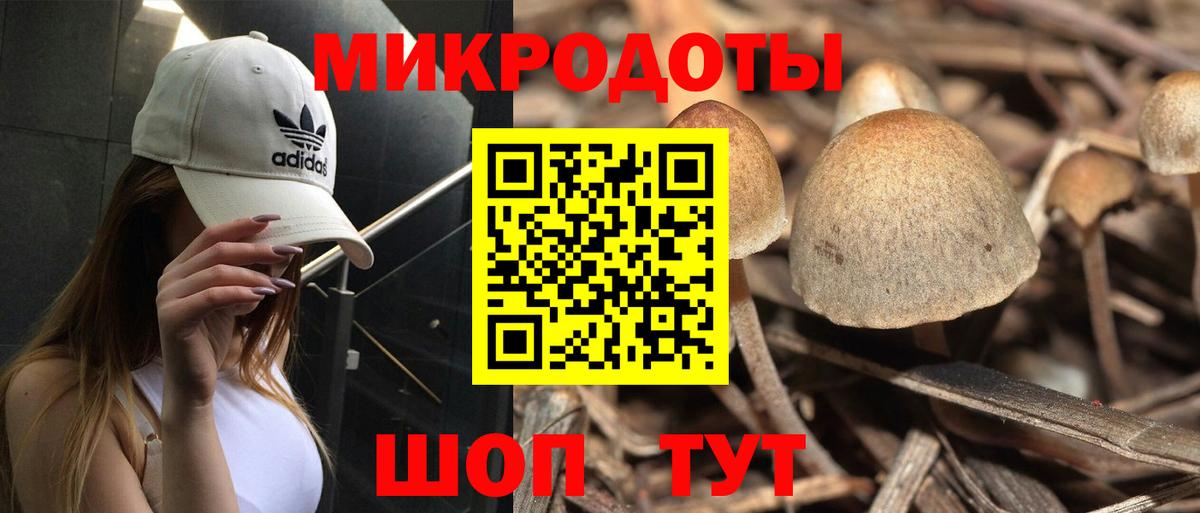 Псилоцибиновые грибы мухоморы Тайшет