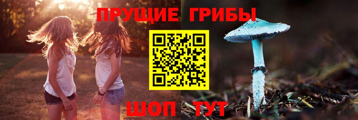 Тайшет  Псилоцибиновые грибы Psilocybe  Галлюциногенные грибы мухоморы  Вход с VPN 